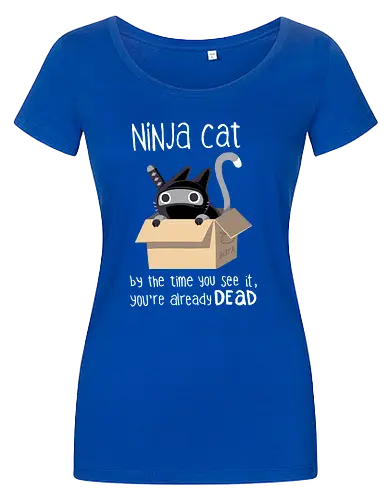 Ninja cat