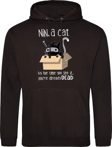 Ninja cat