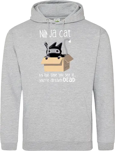 Ninja cat