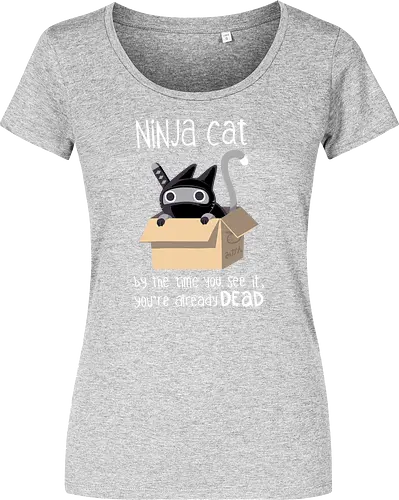 Ninja cat