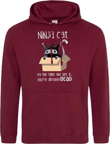 Ninja cat