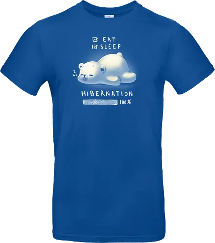 Hibernation