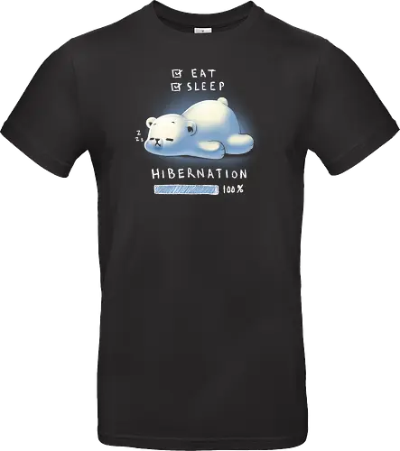 Hibernation