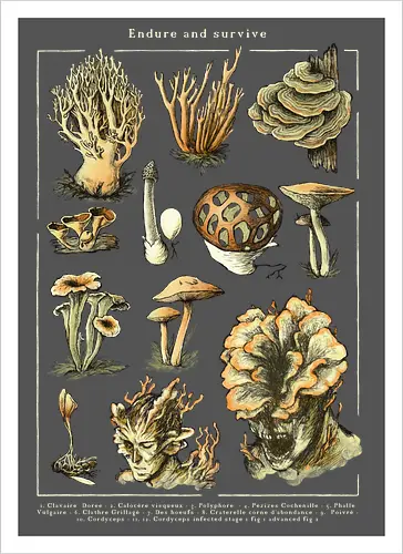 Endure and survive - Cordyceps dark