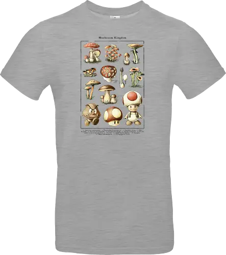 Mushroom Kingdom