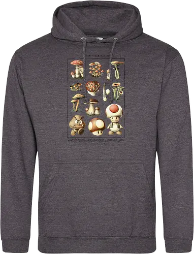 Mushroom Kingdom