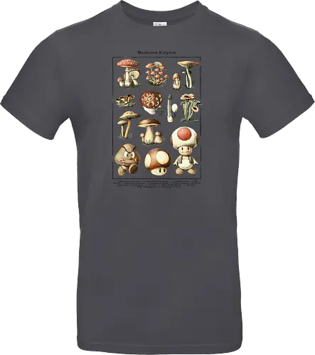 Mushroom Kingdom