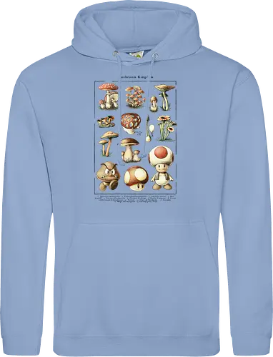 Mushroom Kingdom