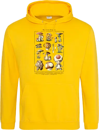 Mushroom Kingdom