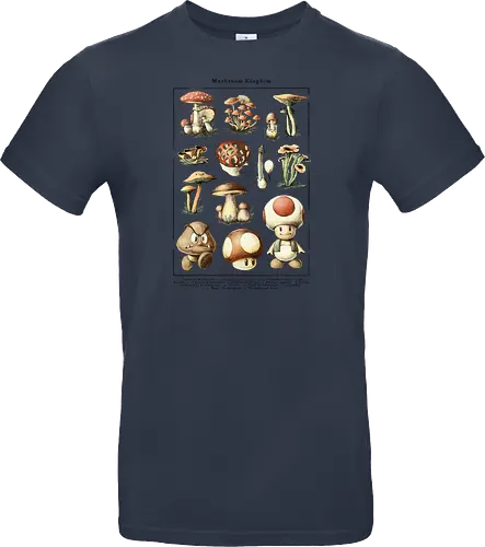 Mushroom Kingdom