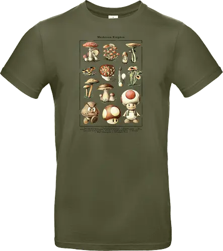 Mushroom Kingdom
