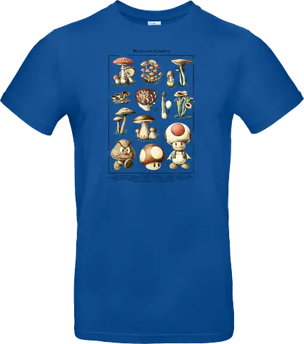 Mushroom Kingdom