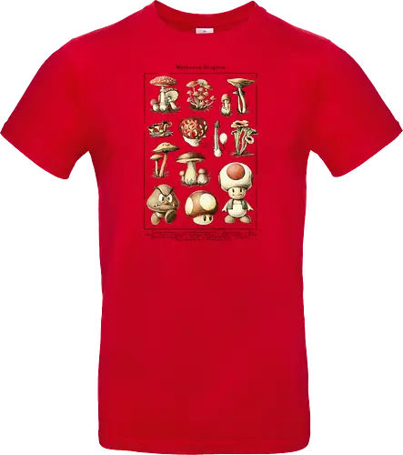Mushroom Kingdom