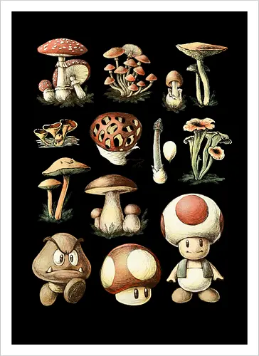 Mushroom Kingdom