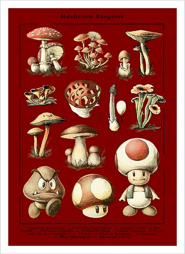 Mushroom Kingdom