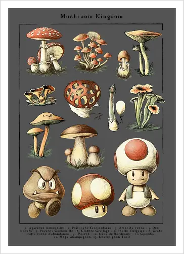 Mushroom Kingdom