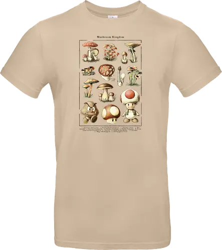 Mushroom Kingdom