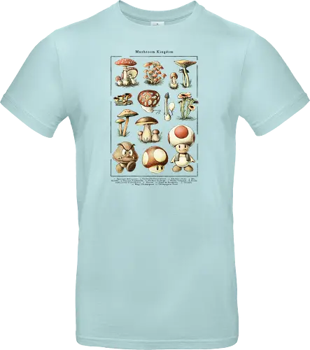 Mushroom Kingdom