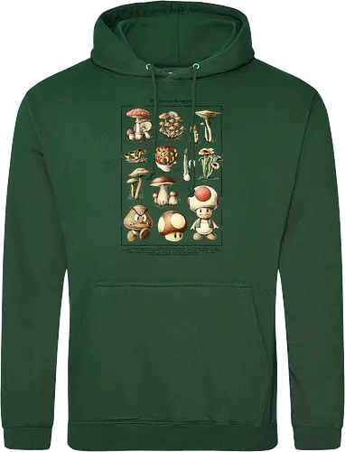 Mushroom Kingdom