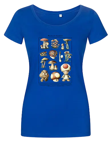 Mushroom Kingdom