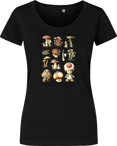 Mushroom Kingdom