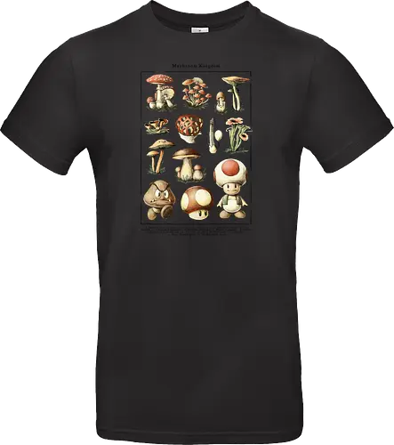 Mushroom Kingdom