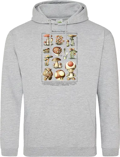 Mushroom Kingdom