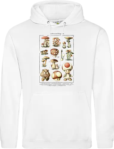 Mushroom Kingdom