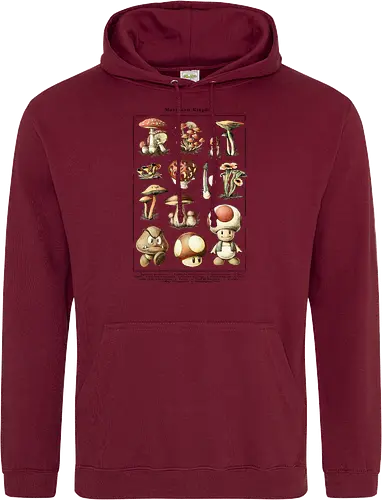 Mushroom Kingdom