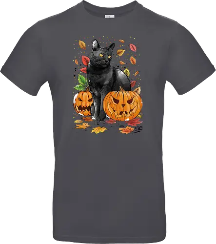 Cat Leaves and Pumpkins