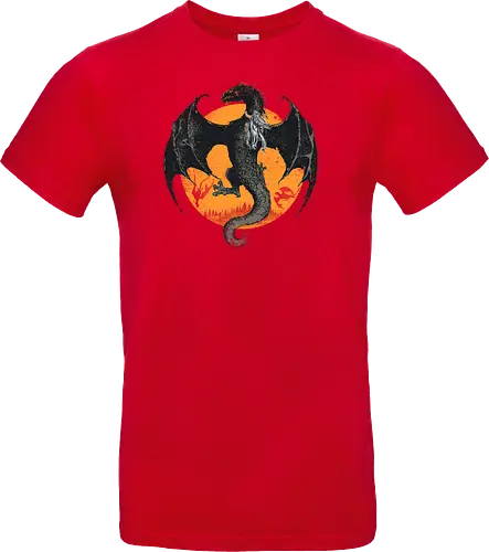 Riding the Dragon