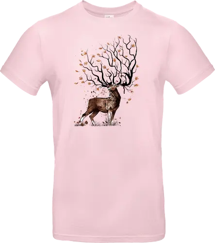 Autumn deer