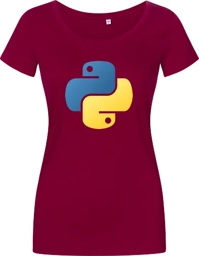 Python Icon