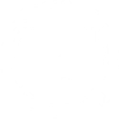 Socially Awkward Cat - cat, katze, awkward, anxiety