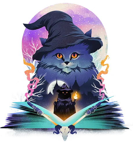 Cat Wizard - cat, katze, wizard, zauberer, magic