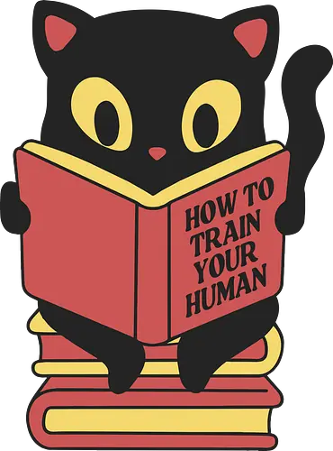 How to train your human - cat, katze, training, fun