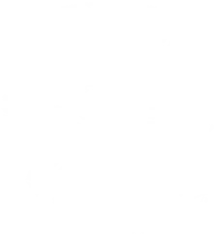 Kendo Gun Shop Grunge - resident, evil, jill valentine, leon s kennedy, biohazard, umbrella corporation, raccoon city, albert wesker, chris redfield, tricell africa, stars, sheva alomar, video game, gaming, gamer