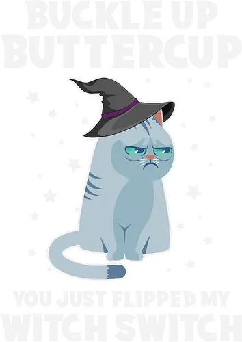 Buckle up buttercup, you just flipped my witch switch - cat, witch, hat, grumpy, stars, humor, cute, halloween