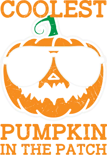 Coolest Pumpkin in the Patch orange - pumpkin, sunglasses, cool, text, cartoon, humor, halloween, illustration, autumn