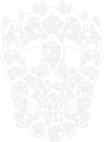 Husky Dog Heads - husky, dogs, skull, symmetry, pattern, arrangement, design, visual effect, creativity