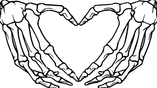  skeletal hands form a heart - skeleton, hands, heart, love, mortality, minimalist, contrast, symbol, anatomy