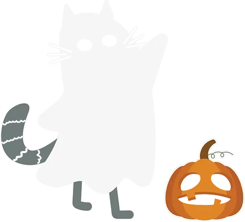 Ghost cat - cat, ghost, halloween, pumpkin, costume, spooky, playful, cute, festive