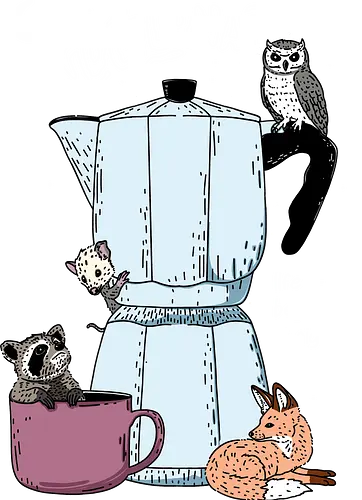 The Nocturnals Secret Power - the nocturnal, nocturnals, coffee, espresso, fox, raccoon, opossum, owl