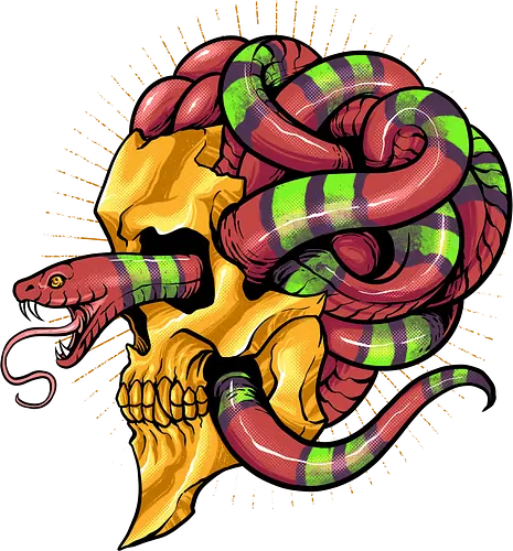 snake brain  - snake, brain, skull, myth, skeleton, art, poison, animal, darkart, tattoo, golden