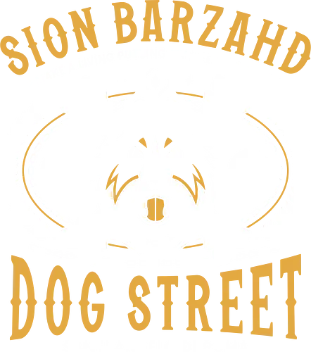 Sion Barzahd Emblem - bouncer, final, sion, kou, volt, dog street, jrpg, fantasy, video game, gaming, gamer, angelo, Rinoa, dominique cross, fighting game, retro