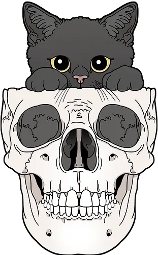 Black Kitty & Skull - Schwarze Katze, Schädel, Katzenliebe