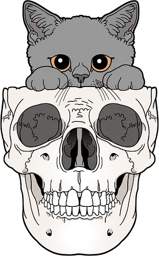 Grey Kitty & Skull - Katze, Katzenliebe, Skelett