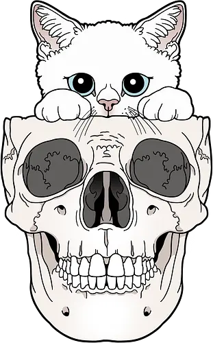 White Kitty & Skull - Weiße Katze, Katzenliebe, Skelett