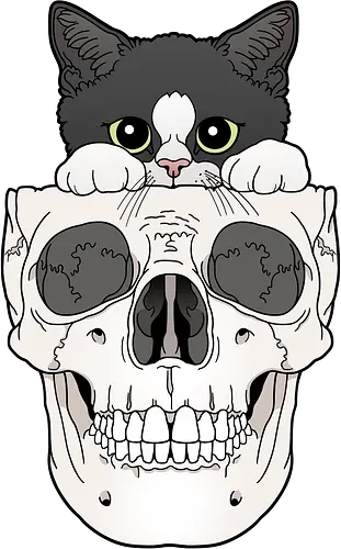 Tuxedo Kitty & Skull - Tuxedo, Tuxedokatze, Skull