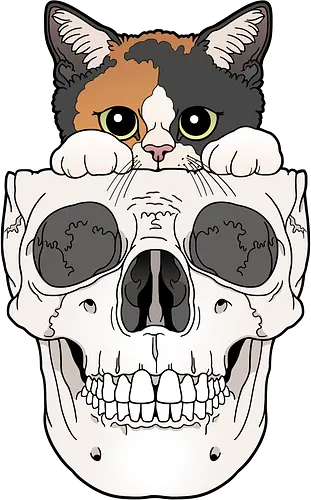 Calico Kitty & Skull - Calico, Katze, Skelett